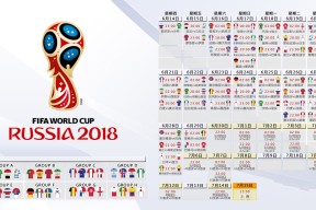 乐动体育-网球天王跨界封神！德约科维奇NBA首秀助攻绝杀雄鹿